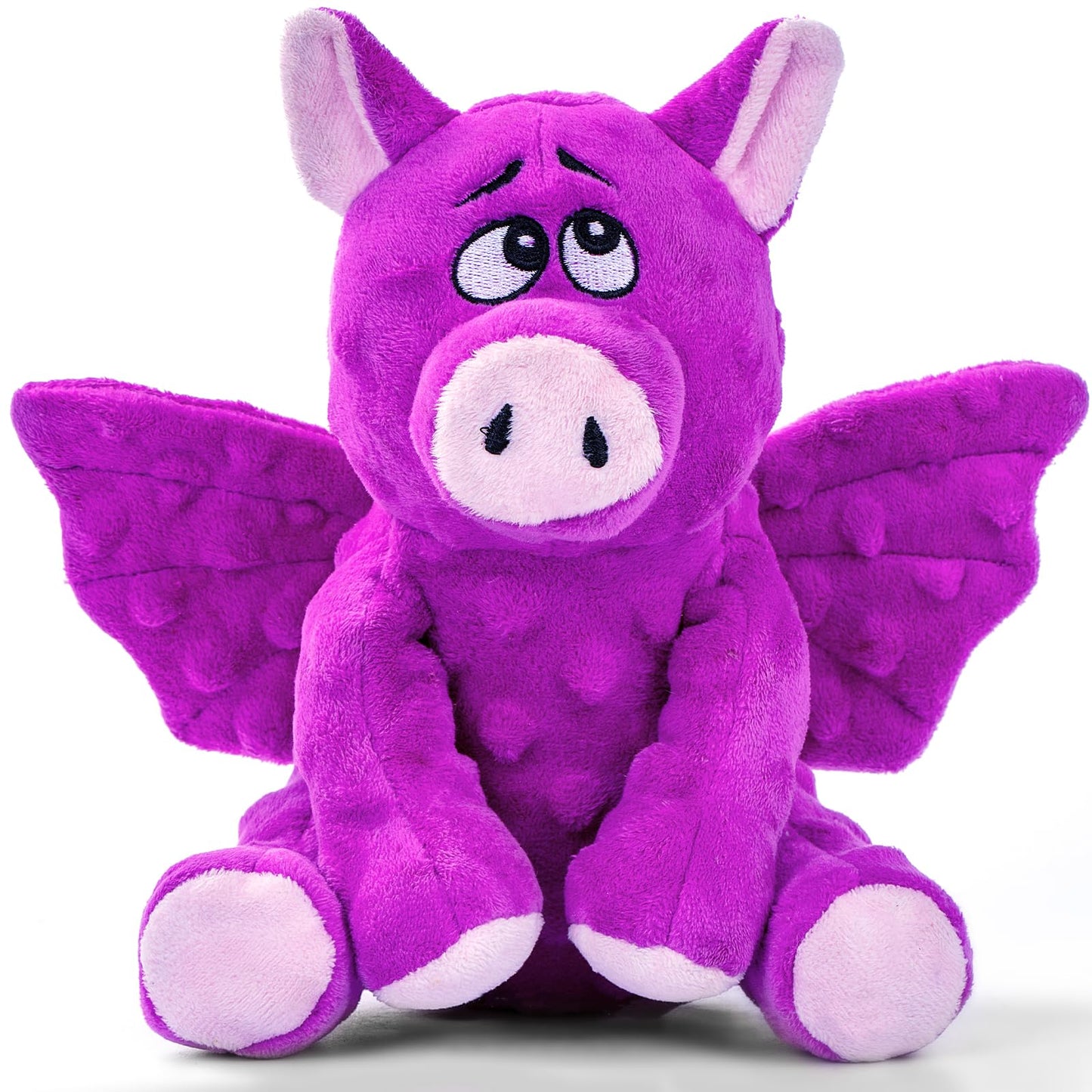 Squeaky Plush Dog Toys