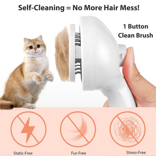 Pet Steam Hair Comb Brush