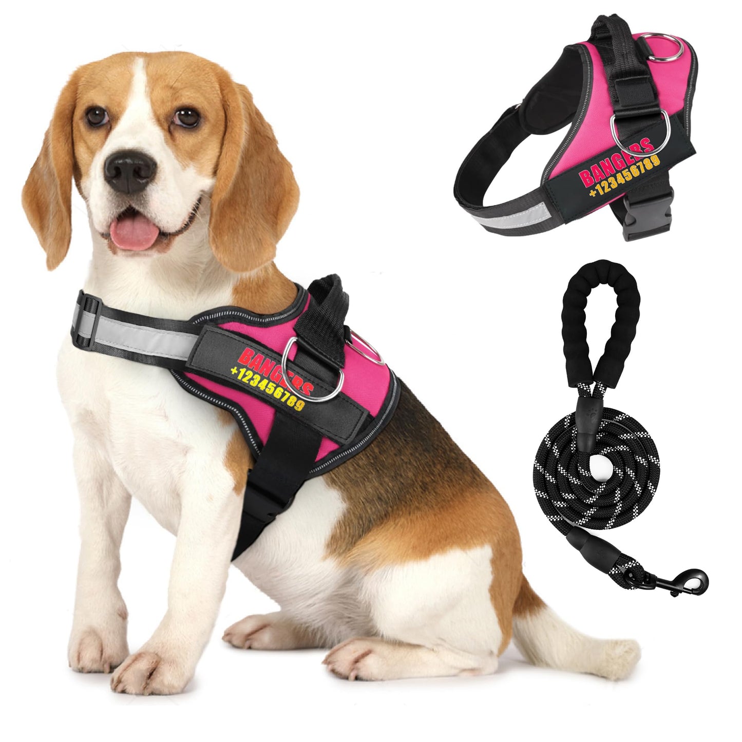 Slok Personalized Medium Dog Harness